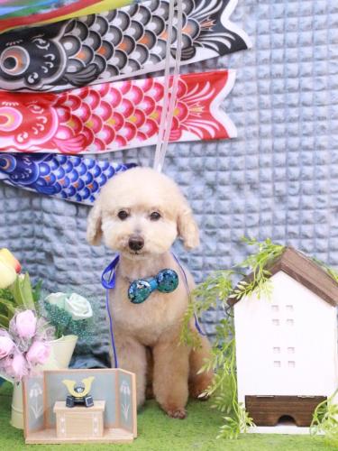 20230509あくびちゃん